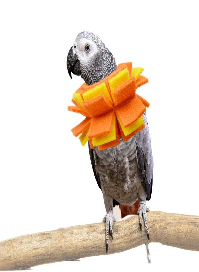 vomvomp Neck Collar for African Grey Parrots Feather Plucking Bird Anti Bite Collar Neck Shield - Image 1